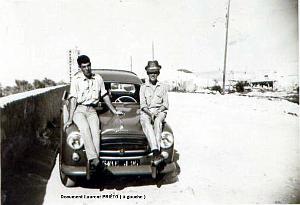 Oran- SDV- 2524